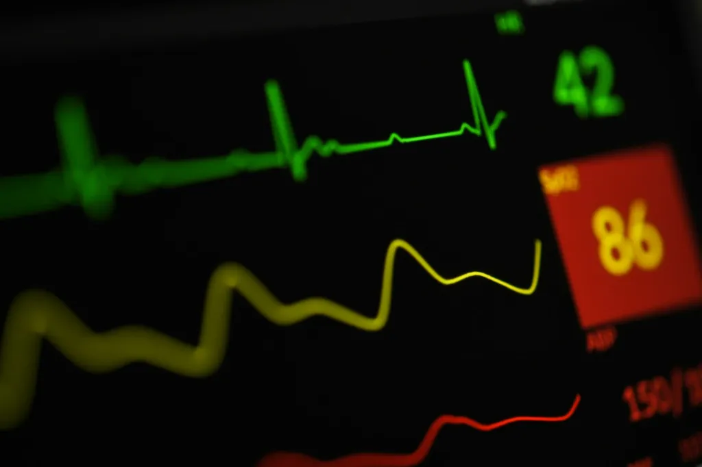 unsplash_beXUIzvxW-Q_EKG.webp