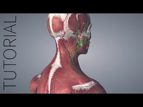 Odoo Video